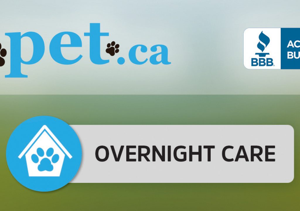 love_your_pet_calgarydogbusinesses Calgary Dog Life