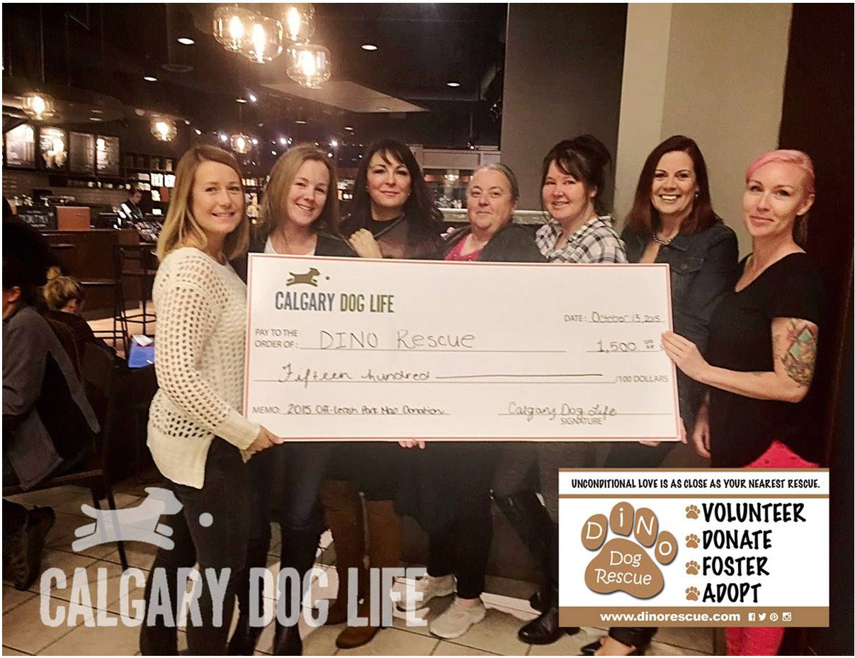 calgary -dog-rescue-donations-calgary-dog-life